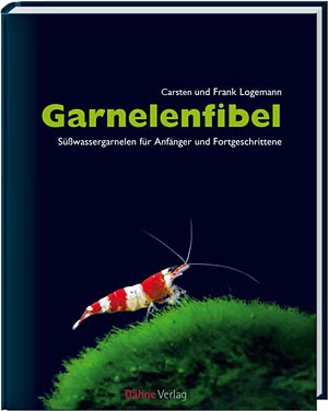 Книги из Германии Fibel-cover