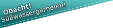INFO: Hier geht's trotz aller Farbenpracht um Süßwassergarnelen, nicht um Salzwassertiere...